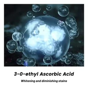 S2fbbe047b5474528a1035f20cbc483cfG