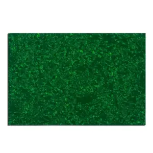 S3055646bf1e84114bfed967573d26aa51