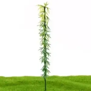 Miniature Bamboo Trees Set for Models 19 S309bcbec99dc49218223581cc65a9dcag