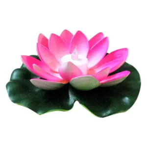 S31e477e0176a43b4851a1db6d0b027576