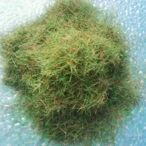 S33204bd85fa4429aa51c4f210332f9397