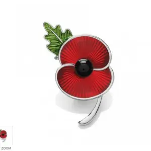 Vibrant Red Poppy Brooch for Women & Men 11 S345dbde5db404cea853269e29d1611e0k