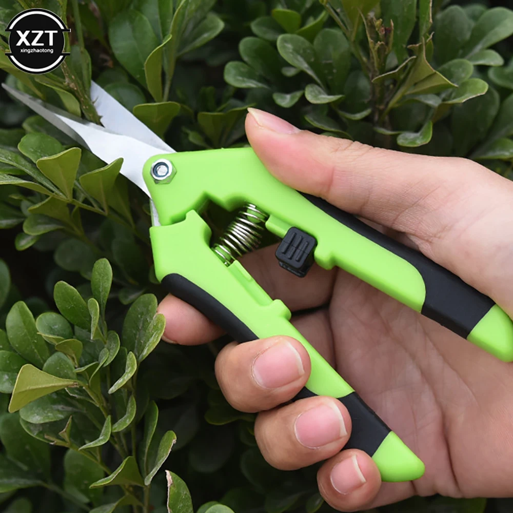 Stainless Steel Garden Pruning Shear 6 Stainless Steel Garden Pruning Shear - Image 6