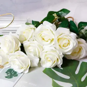 S37034b8cf62348fe88eb825a2ca2b8c5w