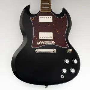 Tortoise Shell SG Pickguard for EPI Guitars 14 S38060a282e3942339c23c908d69a14fbH