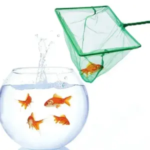 Bright Green Aquarium Fish Net - 3 to 8 Inches 8 S390f78eeee394993a054530d4adaea89q