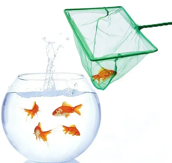 Bright Green Aquarium Fish Net - 3 to 8 Inches 3 Bright Green Aquarium Fish Net - 3 to 8 Inches - Image 3