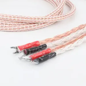 S398e3a633c104a07be5185e2716616ceR