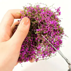 S39f24b631aa441f0ba13c5ae8c1112e2Y