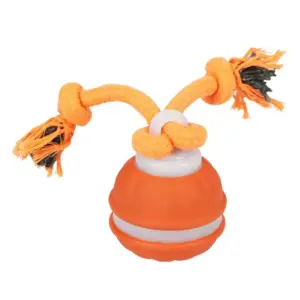 S3afd181101f04107894b65b5a282bd42t