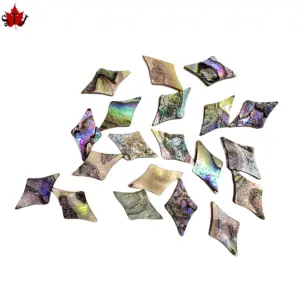 S3b87717371e44950aa9f0947b15c068a8