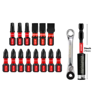 Impact Magnetic Screwdriver Bit Set for Professionals