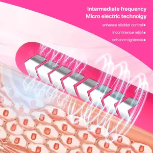 S3e3f561d499e49a786530954e8f67d246