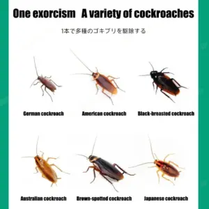 S3ef487c60aab456180f90725397a55afO