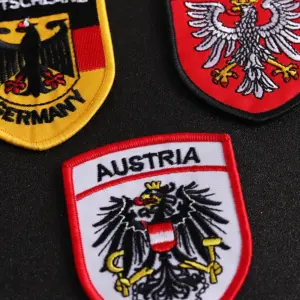 Punk Eagle Iron-On Patch Eco-Friendly 3D Design 11 S3f1e071cee5a4ecdb2d0be99f573fa3cf