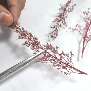 S407ce7564f5443678c29f6861e844d18R