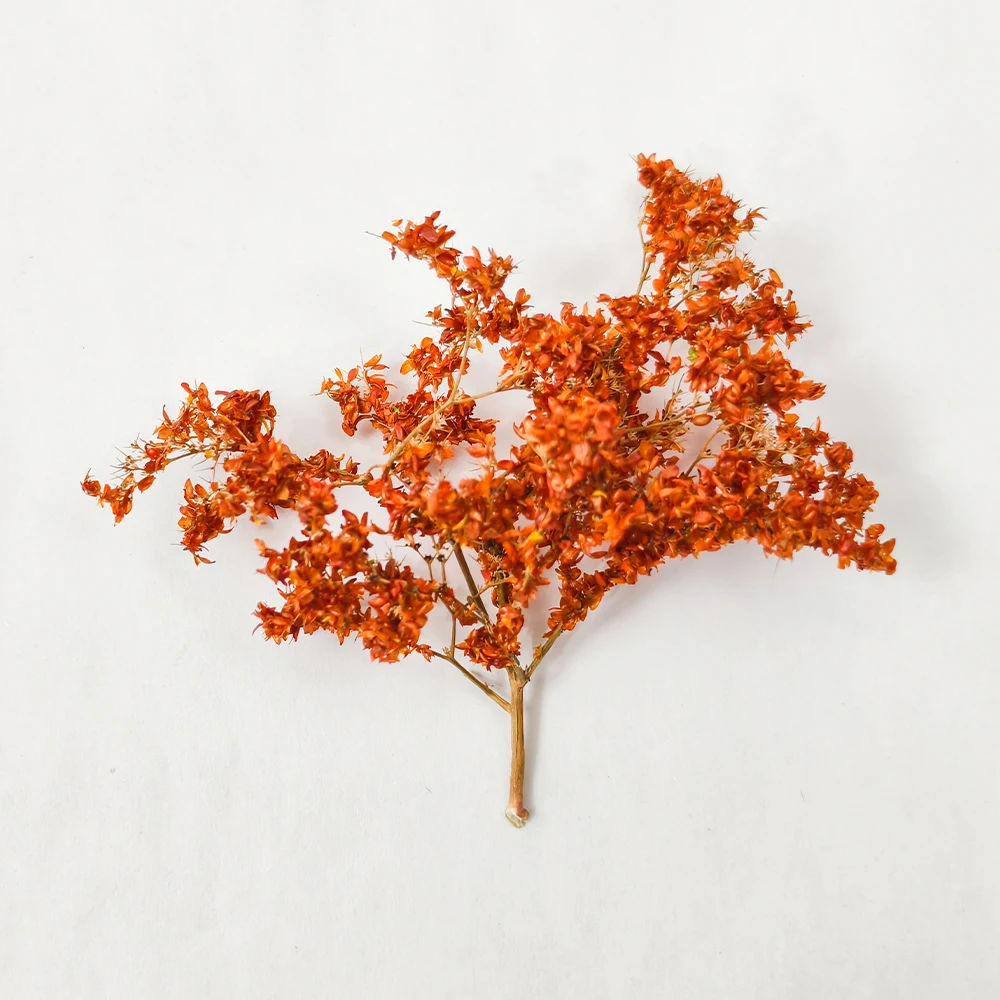 Miniature Foam Tree Set for Models 2 Miniature Foam Tree Set for Models - Image 2