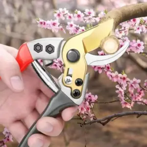 Stylish Stainless Steel Garden Pruning Shears 12 S41fc4bc55e3c44898035274396bf82e5I