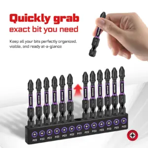 Impact #2 Pozidriv Screwdriver Bits Set for Professionals 12 S42369f5857cb46ec96491a2d7b0e5303h