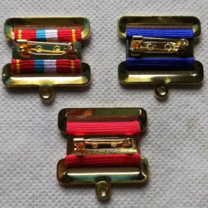 Vintage Hexagonal Badge with Vibrant Stripes 15 S453f86564cf646f8a6bb9ee72d08ade7X