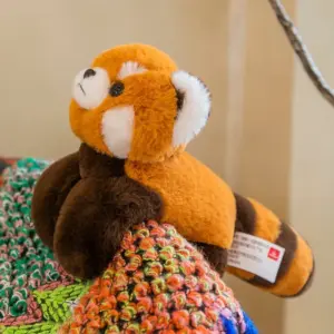 S45c81cc6a50e439eb98be91a7a00af02R