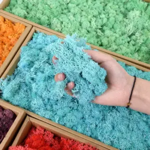 S48a93a5c19bf4f61a6e13ab15f6eaf4dr