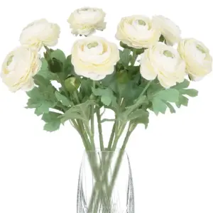 S49eaf83f2eb64f078a9c3a3cd30a6ea0q