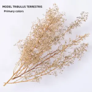 S4b22342eccca4d60bde1a11d8cc10c35E