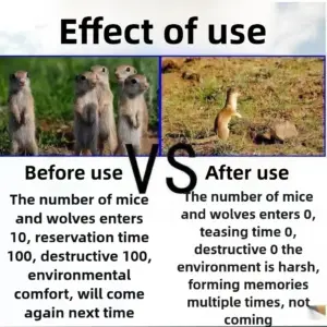 S4c85a55f07854bb982c3629b2e072b15E