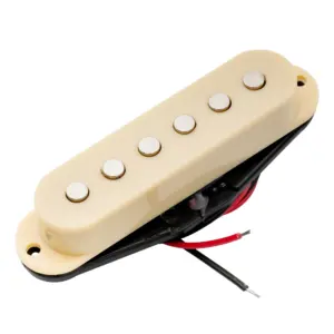 S4e9e83fb7afc427196fd30c77e49882d7