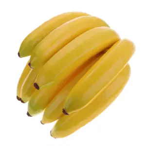 S4f0c009c293344d5b75fcf6f471934b7P