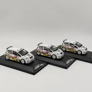2009 Citroen C2 S1600 Rally Model 1:43 Scale 14 S4f50a6746c6b4ef184182617f536aa0cN