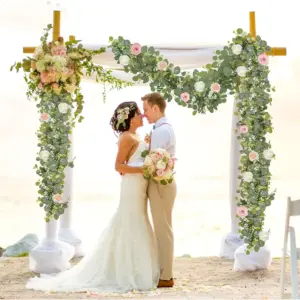 S507eb2efe42249729281b04e0af9a484Y