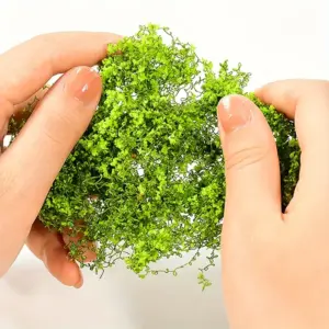 S50e71c97daef42e39f611a1ebaebafa6E