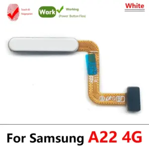 S527361991084408caa06491221929ac2Y 2