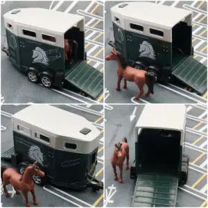 S52d70532d0524a31ae13ee8969bd0a12z