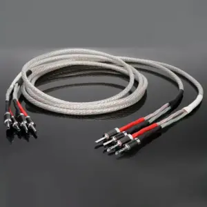 S53b1fb419b604c9fa24c029b173cbcban