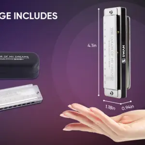 Elegant 12-Key Diatonic Blues Harmonica 10 S53bb65a303504a61bcf0a4d6ff812007f