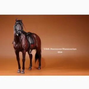 S543885009b994d548188f587a235974dA