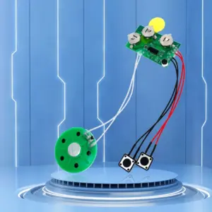 Recordable Voice Chip Module for DIY Projects 11 S54472467ac634350841165b4c185f9eco