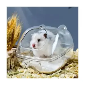 S54c7c419a4b9440eb1dc61bb2c99dea6Y