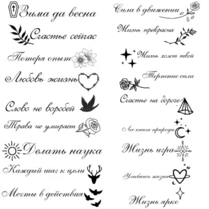 Dinosaur Temporary Tattoos Set (18 Waterproof Designs) 13 S557f08e3f87d40239f082145168a17beu