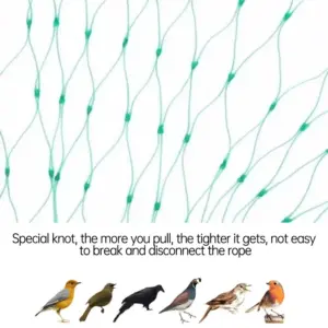 S5aee5c2ad01c4a5a96c496384acdba4bj