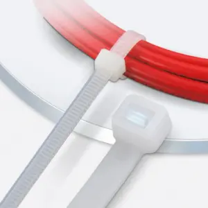 S5bceac3884914f928333034a85c62febC