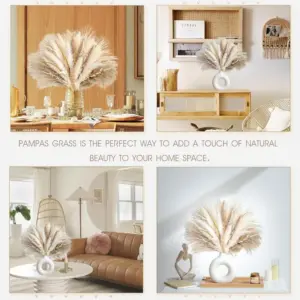 S5be8216a82cf4ccfa32af68998c72c669