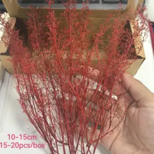 S5ccbf689fc2e42768ae00ada65c91be1C