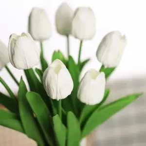 S5dc925eb055c43059e72c8e7b003cc7bb