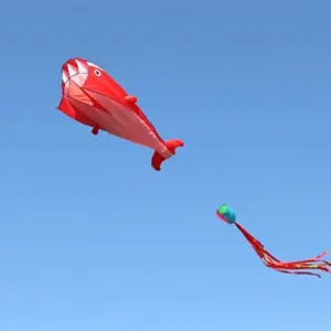 S5ddd6592475c4db4b991a4de73f768bdx