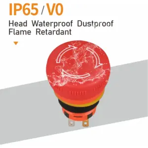 S5dfe8806f3bb4093a062af290807accfD