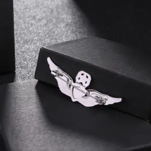 U.S. Air Force Insignia Pentagram Wings Brooch 12 S5e0167d99b90423bad4077d9649943e9s